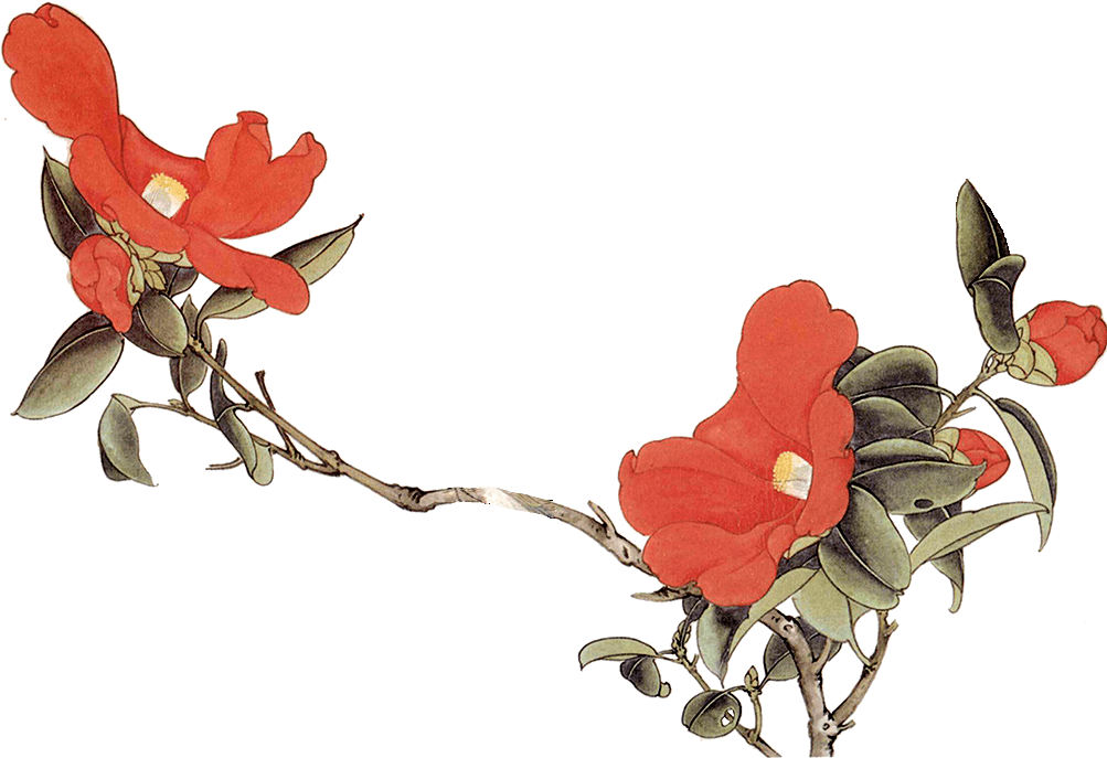 中医教育培训